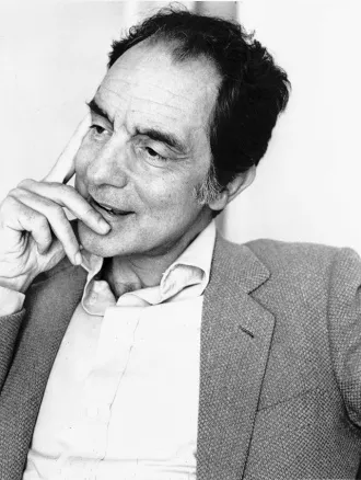 Italo Calvino, fotografía ante 1985